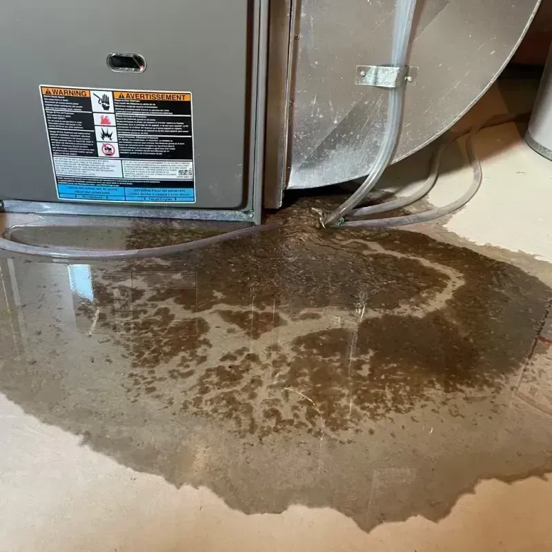 Appliance Leak Cleanup in Blue Mound, IL